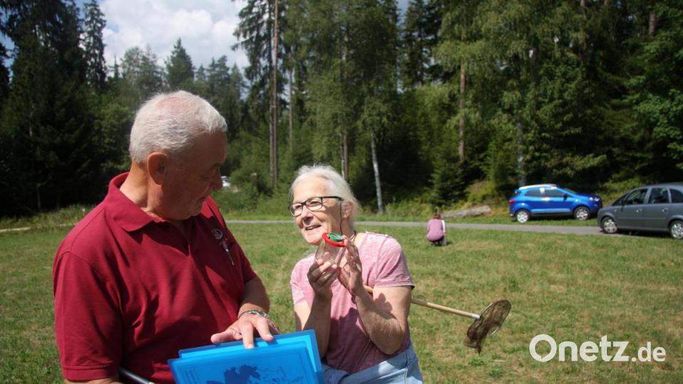 Unterstützt wurde die Safariwanderung auch von Norbert Reger. Der Vorsitzende der Gesellschaft Steinwaldia hielt die Bestimmungsmappe stets parat. Bild: wro