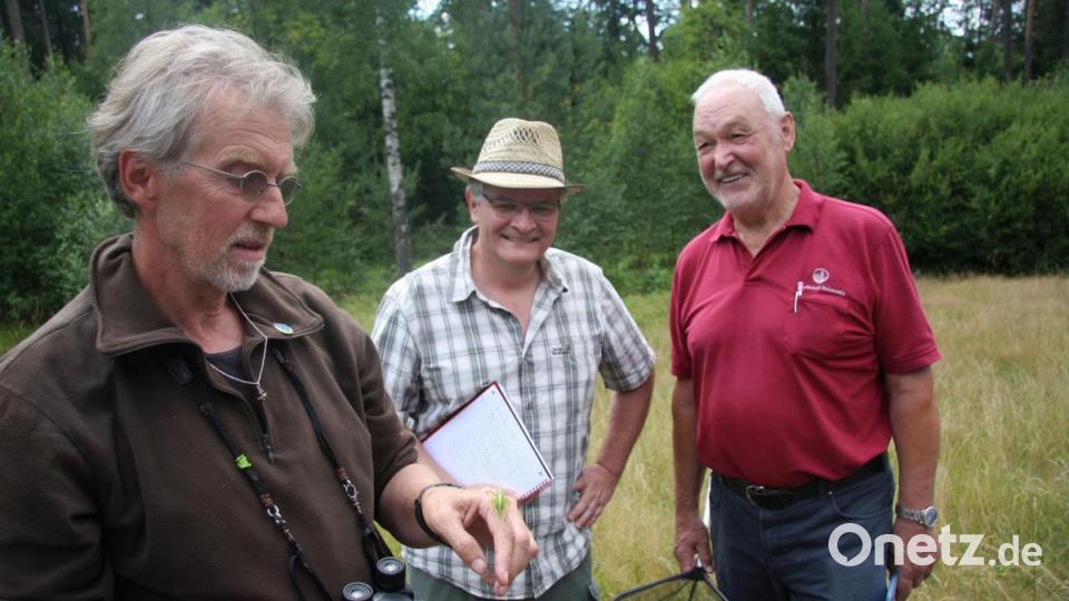 Jürgen Fischer (links) hatte ein Heupferd von der Gattung der Singschrecken gefunden, das von Norbert Reger und Dietmar Gärtner (von rechts) bestaunte wurde. Bild: wro