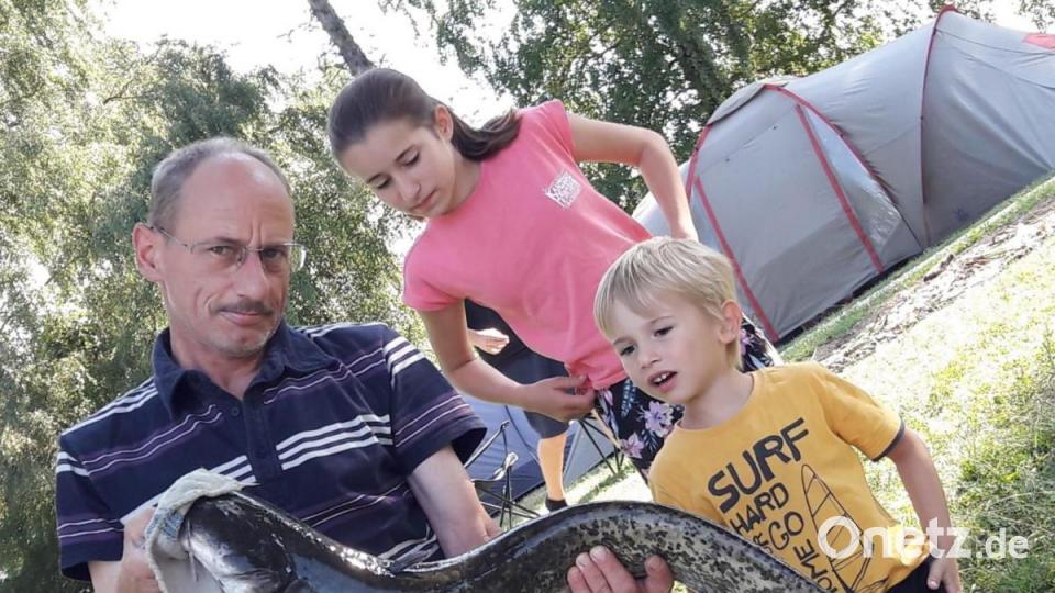 Kolpingzeltlager Ebnath: Auch Angeln will gelernt sein: die Kinder Lukas und Maria Pöllath bewundern den Fang des ein Meter langen Wallers, den Papa Jürgen aus der Naab holte.
Der Fang war dann Teil des Abendessens. Bild: soj