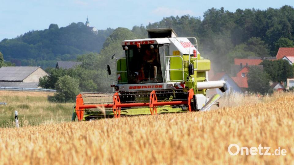 Landwirt Schmidt aus Mörswinkl (Landkreis Amberg-Sulzbach), holt mit seiner Tochter und dem Schwiegersohn die Wintergerste bei Kummerthal ein.Mit Mähdrescher, Bulldog und Hänger kommt schweres Gerät zum Einsatz. Bild: Stephan Huber