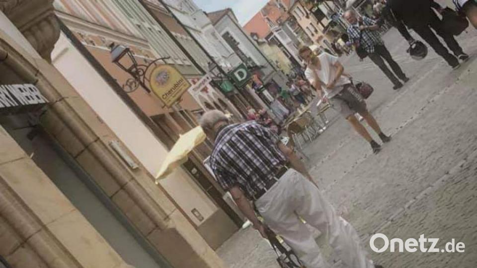 Kater K. geht gerne auf Streifzug durch die Amberger Altstadt. Bild: Fitzgerald