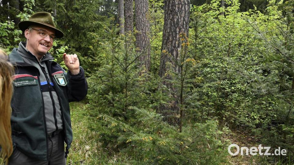 Bild: Hartl
Waldrundgang mit Anna Finger, bei der sie ihre besondere Philosophie der Aufforstung und den Umgang mit den Wald erläutert, Bild: Petra Hartl