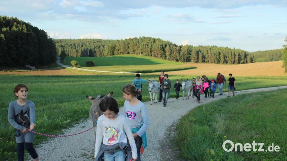 Die Eselführung rund um Hackern sorgte für strahlende Kinderaugen. Bild: kmo