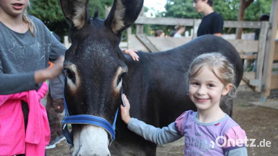 Die Eselführung rund um Hackern sorgte für strahlende Kinderaugen. Bild: kmo