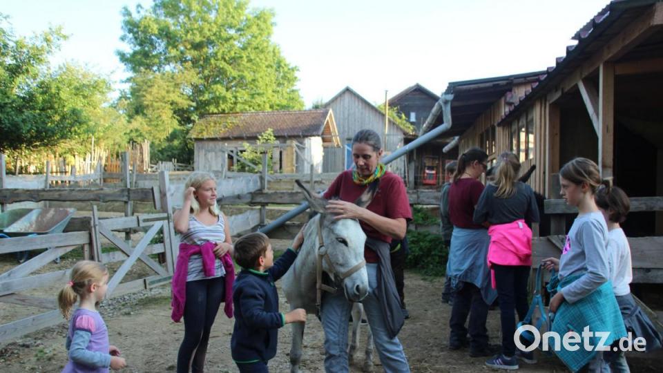 Liss Pirner (Mitte) hilft den Kindern dabei die Esel für die Wandertour fertig zu machen. Bild: kmo