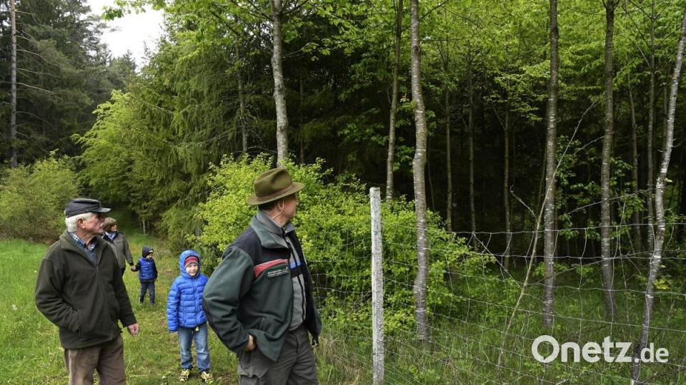 Bild: Hartl
Waldrundgang mit Anna Finger, bei der sie ihre besondere Philosophie der Aufforstung und den Umgang mit den Wald erläutert, Bild: Petra Hartl