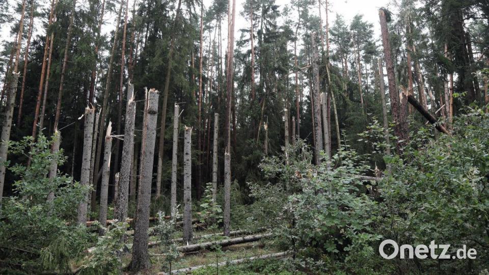 Sturmschäden in der Gemeinde Freudenberg. Bild: Wolfgang Steinbacher