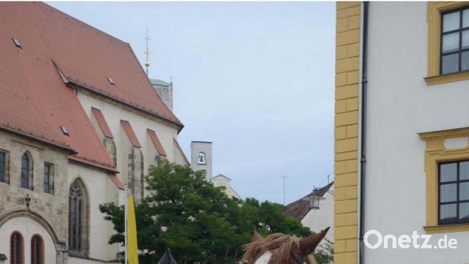 Prächtige Rösser zogen den Baum am Samstag zum Luitpoldplatz. Bild: mag
