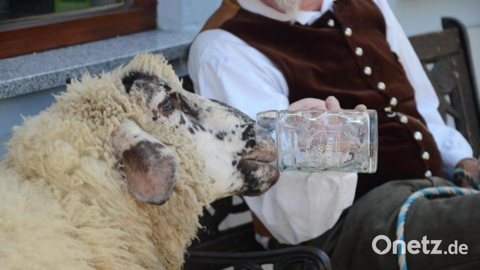 Bei 30 Grad hat auch ein Kirwabätz mal „Durschd“. Bild: mag