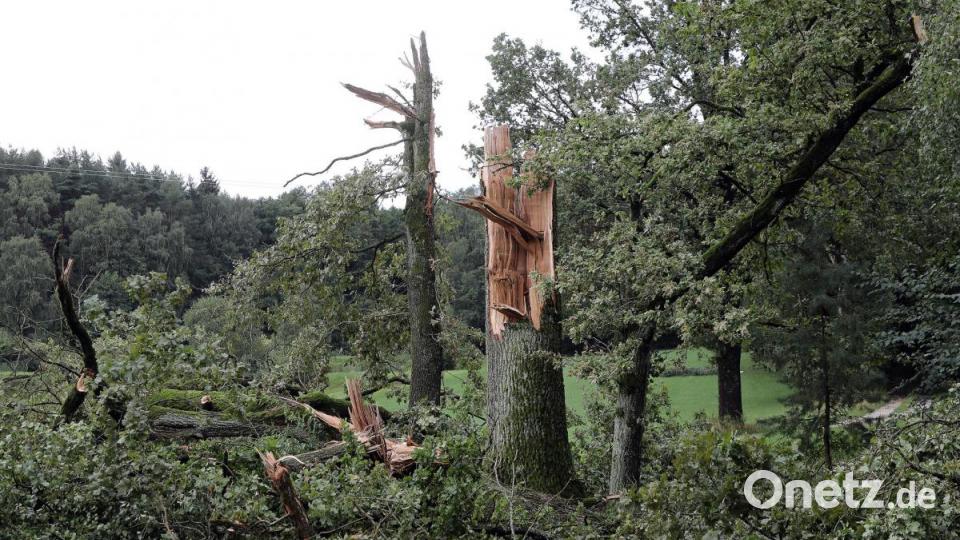 Sturmschäden in der Gemeinde Freudenberg. Bild: Wolfgang Steinbacher
