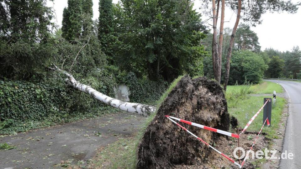Sturmschäden in der Gemeinde Freudenberg. Bild: Wolfgang Steinbacher