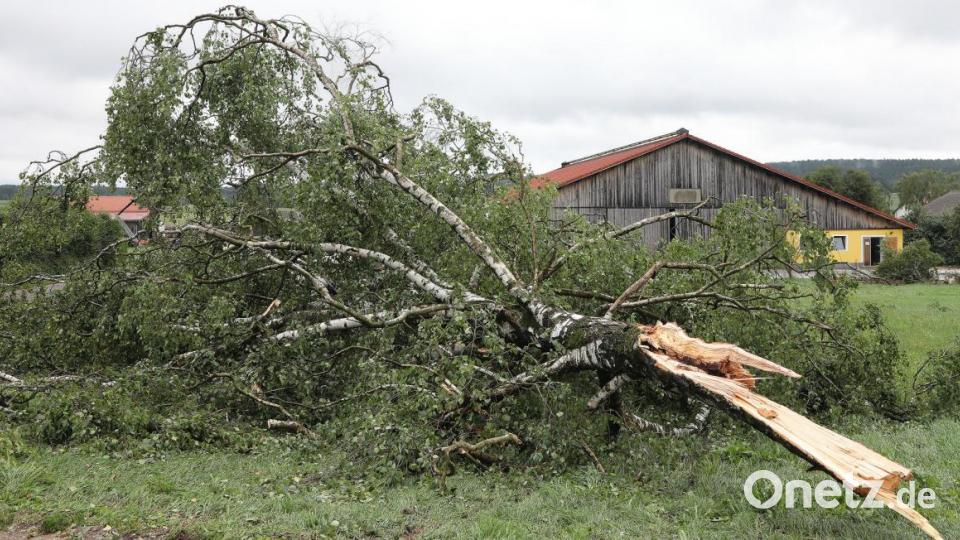 Sturmschäden in der Gemeinde Freudenberg. Bild: Wolfgang Steinbacher