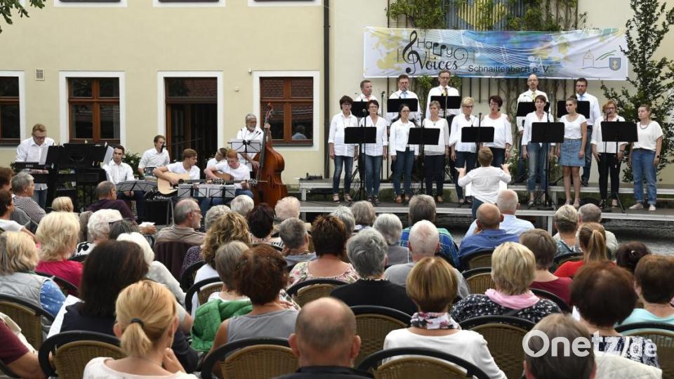 Gute Stimmung bei der Sommerserenade mit den Happy Voices im Schnaittenbacher Rathausinnenhof. Bild: Petra Hartl