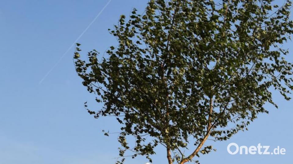 Dieser originelle Wegweiser zeigte den Gästen wo es lang geht. Bild: bnr