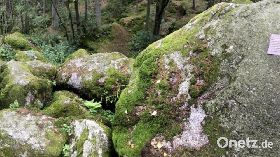 Das Moos, das die Steine im Doost bedeckte, ist an vielen Stellen abgelaufen. Bild: Gabi Schönberger