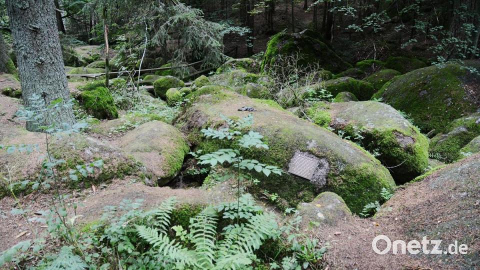 Statt eines schmalen Pfades zieht sich nun eine breit ausgetretene Spur entlang der Felsformationen im gurgelnden Girnitzbach im Naturschutzgebiet Doost. Bild: Gabi Schönberger