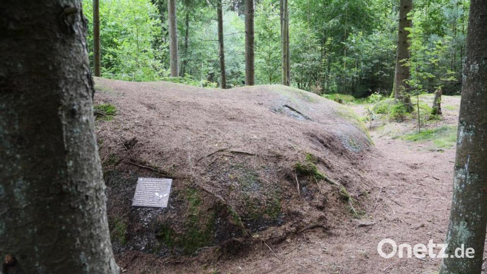 Ein breit ausgetretener Weg statt des früheren Pfades führt durch das Naturschutzgebiet Doost. Bild: Gabi Schönberger