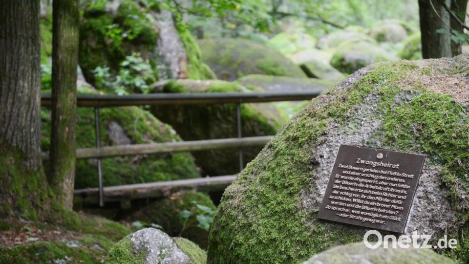 Insgesamt zwölf dieser Bronzetafeln wurden an den Steinen im Naturschutzgebiet Doost angebracht. Bild: Gabi Schönberger
