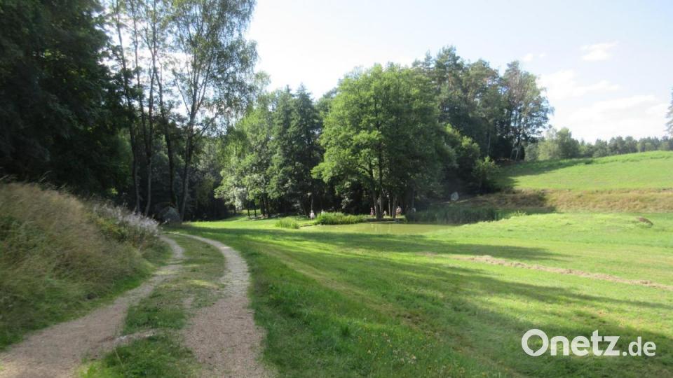 Von Ritzlersreuth führt der Weg sanft geschwungen hinab zum Naturschutzgebiet &quot;Doost&quot;. Bild: ui