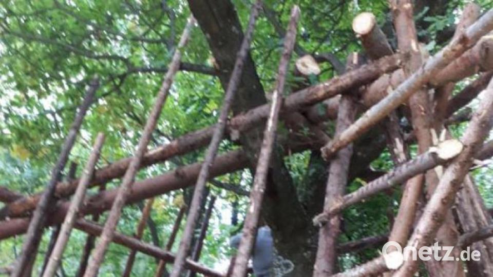 Insgesamt drei Monate bauten Tobias und seine Freunde am Baumhaus am OWV-Wanderparkplatz in Wildenreuth. Mit dem Bau verarbeitete der damals 18-Jährige den Unfalltod seiner Freundin Sabrina. Bild: Katharina Sturm/exb