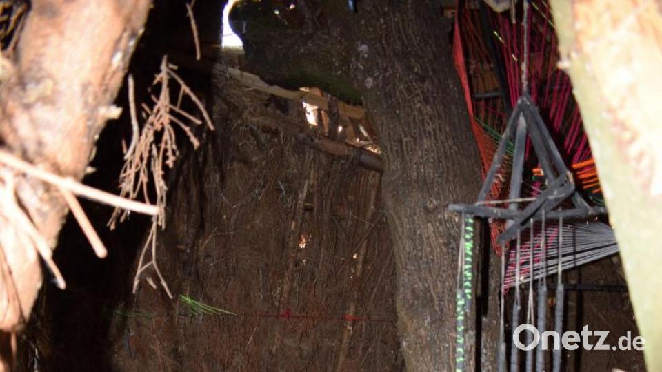 Mittelpunkt der Hütte ist ein Baum. Das Baumhaus ist ein beliebter Treff geworden. Bild: szl