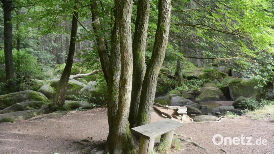 Blankgetreten ist der Boden rund um das Bänkchen am unteren Doostausgang. Bild: Gabi Schönberger