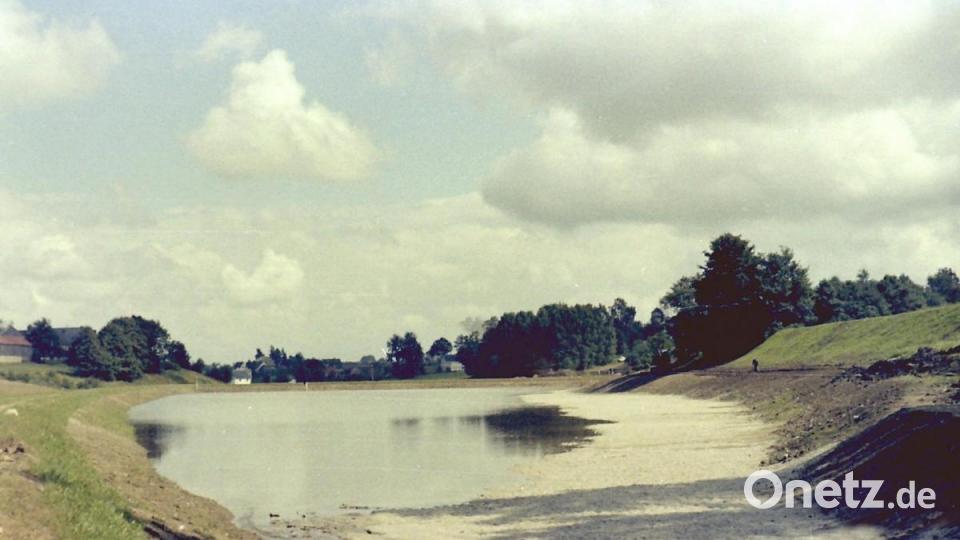 Das Anlegen des Thumsenreuther Erlenweihers war ein Kraftakt. Repro: Stefan Hiller/exb