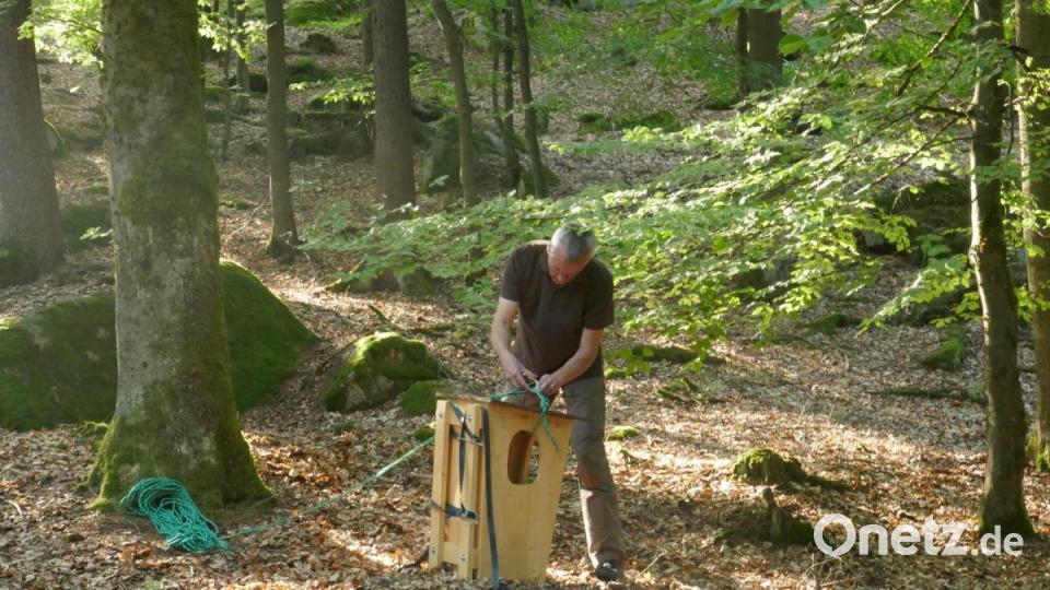 Die Rückkehr des Habichtskauz: Solche Nistkästen sollen den Tieren das Leben etwas leichter machen. Bild: VLAB