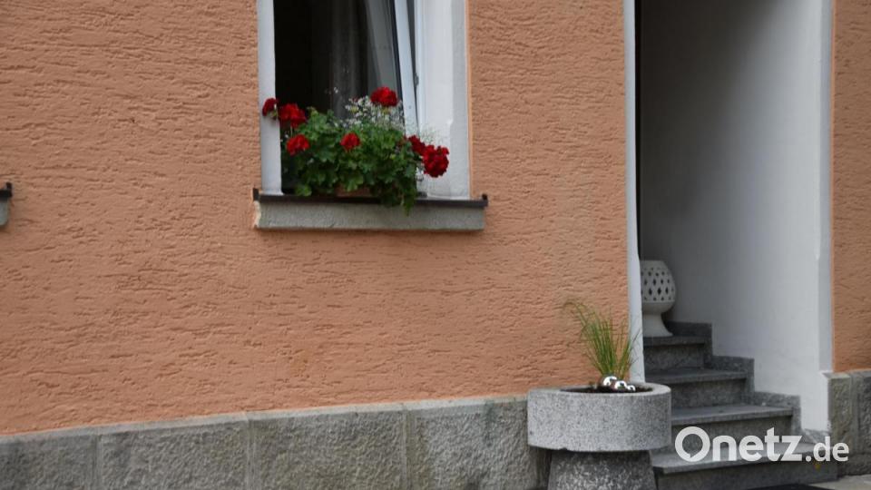 Die Kinderreporter waren in Oberviechtach unterwegs und haben fotografiert, wo in der Stadt Natur zu finden ist. Bild: Kinderreporter