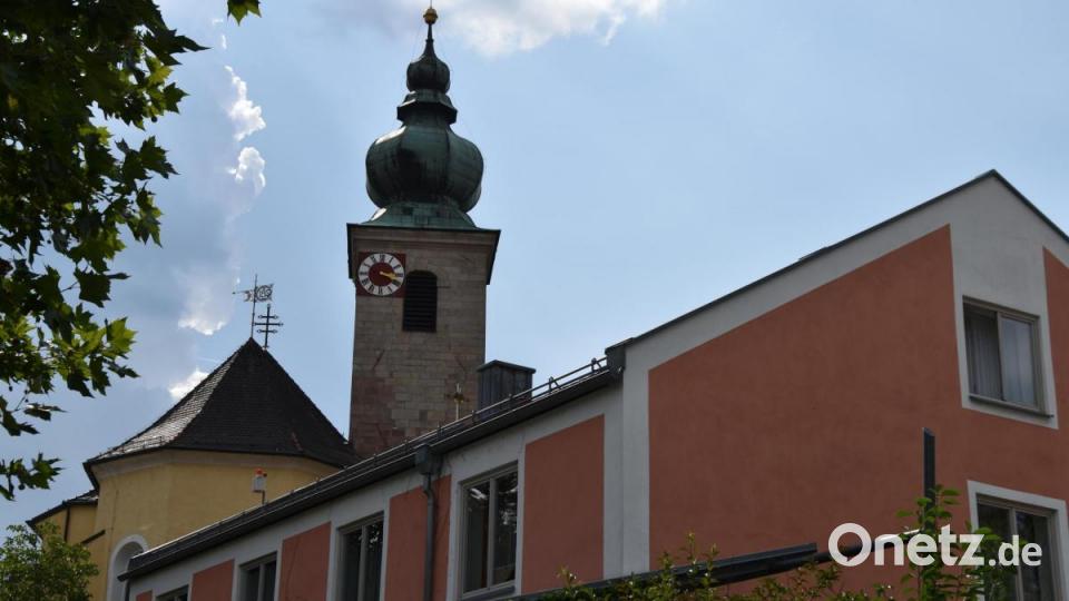Die Kinderreporter waren in Oberviechtach unterwegs und haben fotografiert, wo in der Stadt Natur zu finden ist. Bild: Kinderreporter