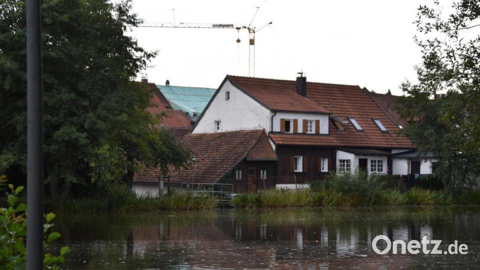 Die Kinderreporter waren in Oberviechtach unterwegs und haben fotografiert, wo in der Stadt Natur zu finden ist. Bild: Kinderreporter