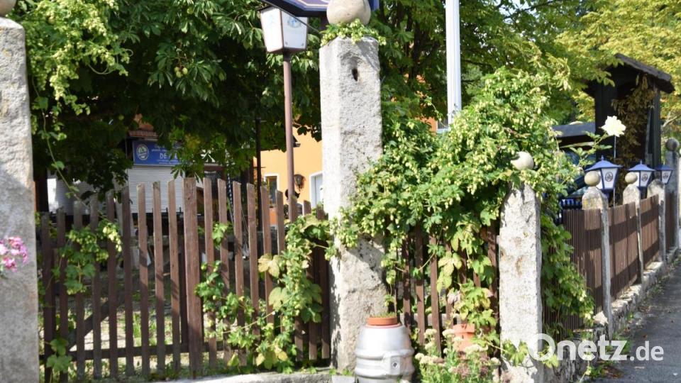 Die Kinderreporter waren in Oberviechtach unterwegs und haben fotografiert, wo in der Stadt Natur zu finden ist. Bild: Kinderreporter