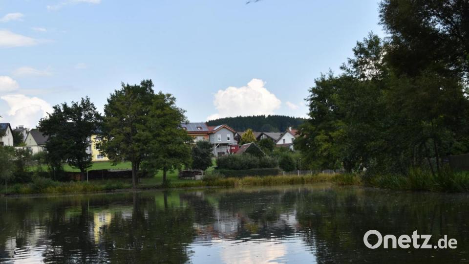 Die Kinderreporter waren in Oberviechtach unterwegs und haben fotografiert, wo in der Stadt Natur zu finden ist. Bild: Kinderreporter