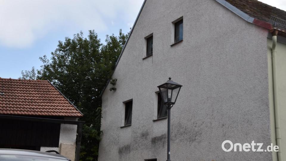 Die Kinderreporter waren in Oberviechtach unterwegs und haben fotografiert, wo in der Stadt Natur zu finden ist. Bild: Kinderreporter