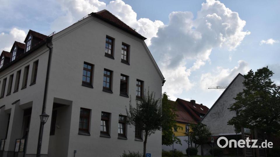 Die Kinderreporter waren in Oberviechtach unterwegs und haben fotografiert, wo in der Stadt Natur zu finden ist. Bild: Kinderreporter