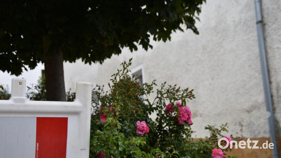 Die Kinderreporter waren in Oberviechtach unterwegs und haben fotografiert, wo in der Stadt Natur zu finden ist. Bild: Kinderreporter