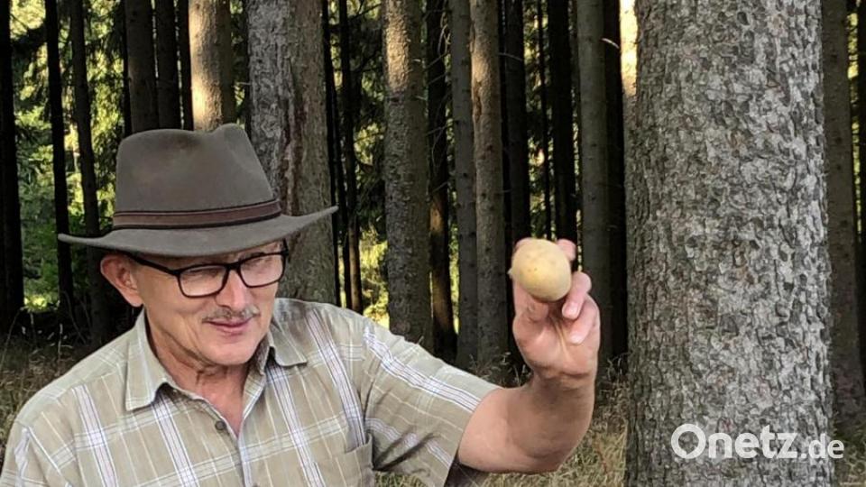 Station 5 - Die starke Maus Bild: mez