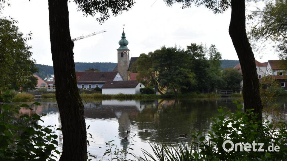 Die Kinderreporter waren in Oberviechtach unterwegs und haben fotografiert, wo in der Stadt Natur zu finden ist. Bild: Kinderreporter