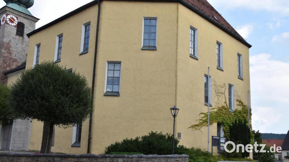 Die Kinderreporter waren in Oberviechtach unterwegs und haben fotografiert, wo in der Stadt Natur zu finden ist. Bild: Kinderreporter