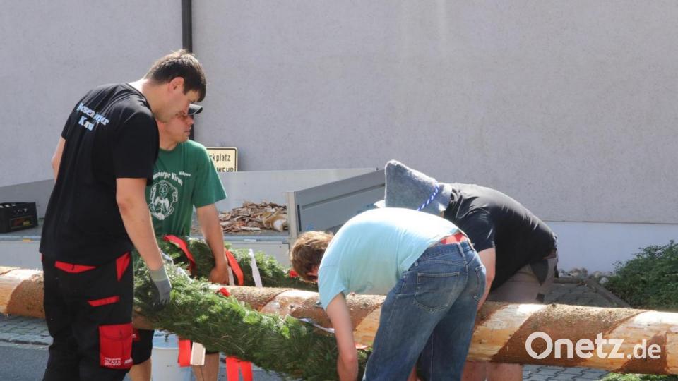 Am Samstag im Morgengrauen wird der Baum eingeholt und anschließend geschmückt. Bild: mfh