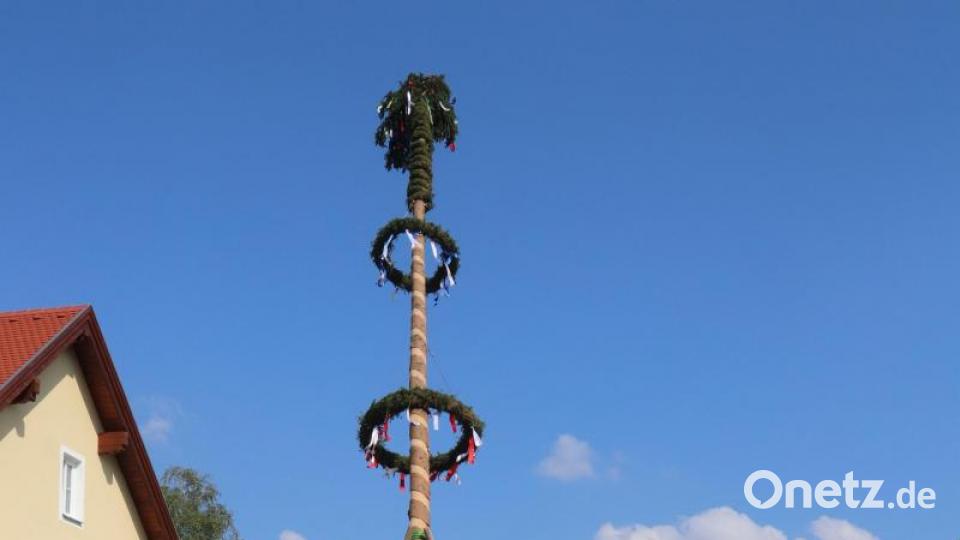 Bald wird der Baum senkrecht stehen. Bild: mfh
