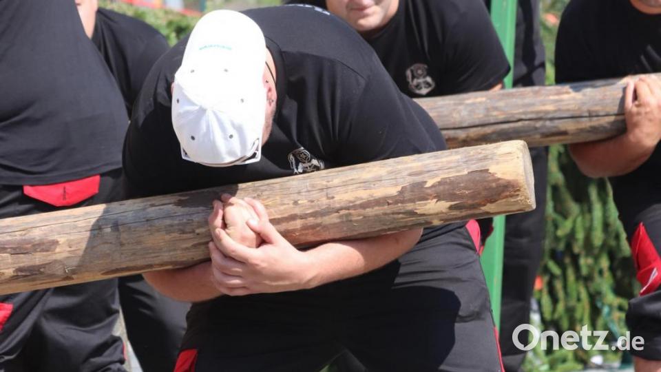 Baam aufstellen ist kein Ponyhof, hier sind ganze Kerle gefragt. Bild: mfh