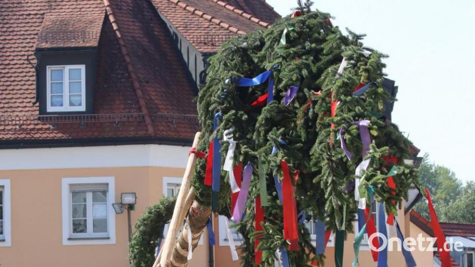 In alter Tradition wird der Baum allein mit Manneskraft aufgestellt. Bild: mfh