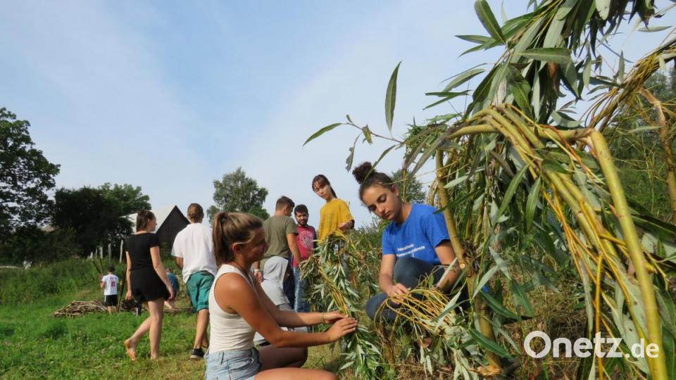 Gemeinsam wird überlegt, wie ein lebendiger Zaun am besten geflochten wird. Bild: ubb