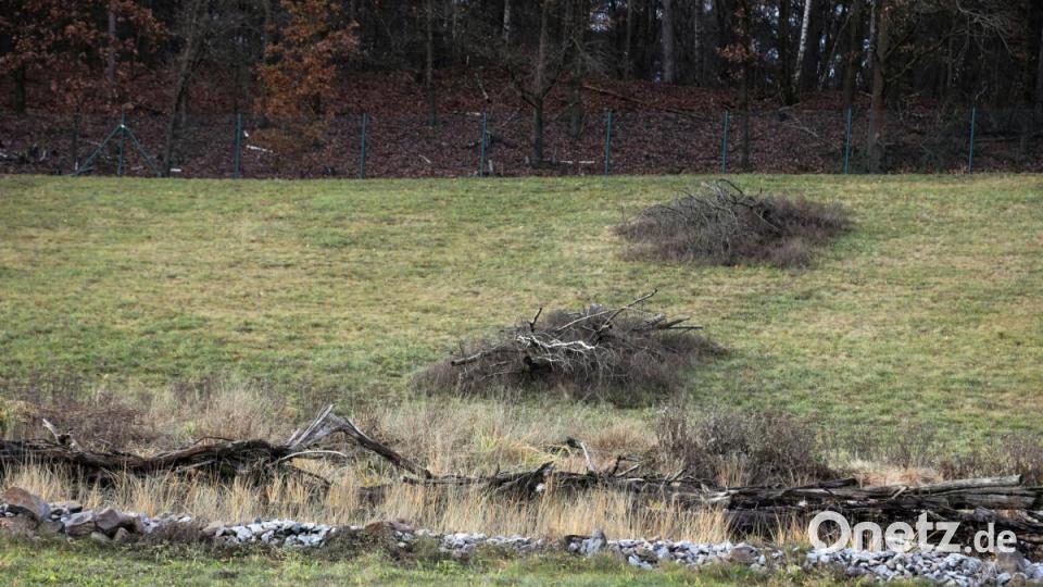 Totholz und Steine bilden Ersatzbiotope. Bild: Gerhard Götz