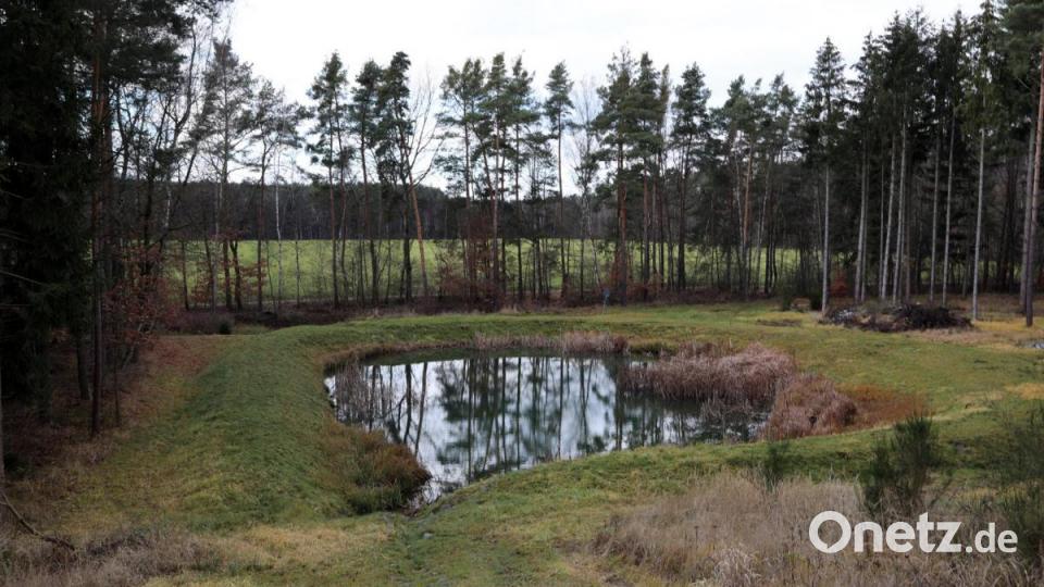 Neue Laichgewässer wurden angelegt. Bild: Gerhard Götz