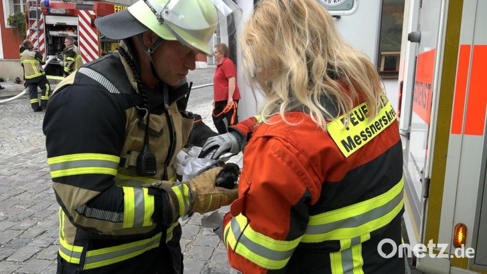 Feuerwehrleute retten eine Taube aus dem Brandschutt. Bild: Alexander Auer