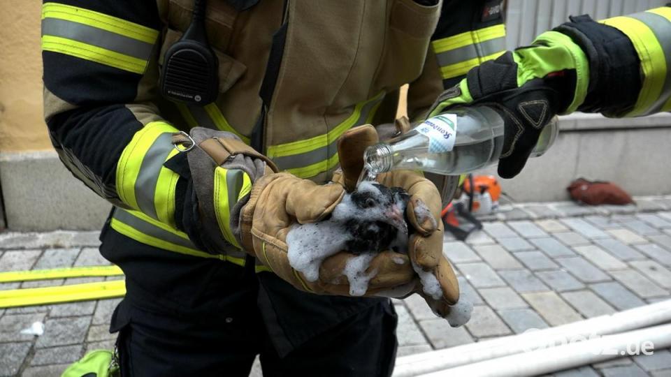 Feuerwehrleute retten eine Taube aus dem Brandschutt. Bild: Alexander Auer