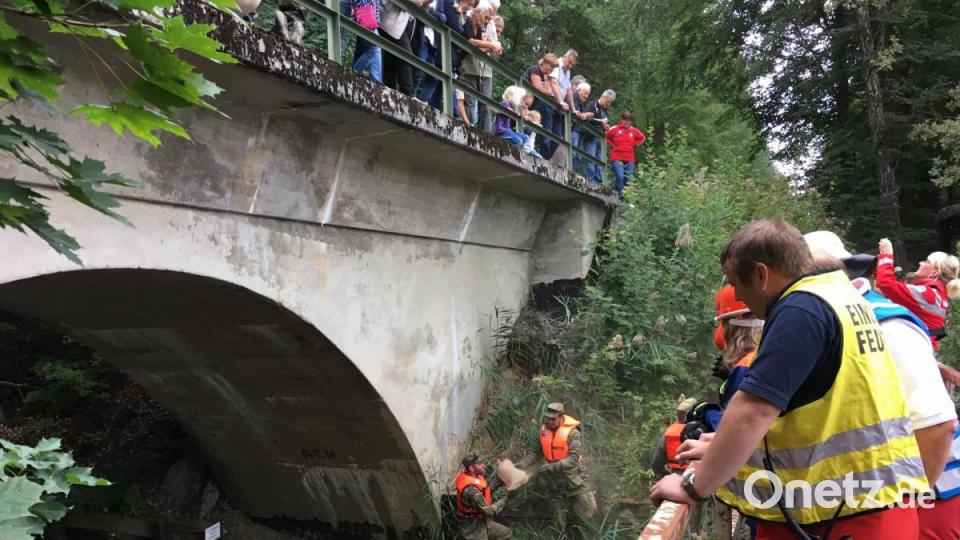 Die Führungskräfte, darunter auch der Einsatzleiter für diesen Abschnitt Markus Tröster, beobachten von einem Steg aus den Ablauf der Übung, die Bevölkerung nutzt die gesperrte Bahntrasse, um sich von weiter oben ein Bild zu machen. Bild: ihl