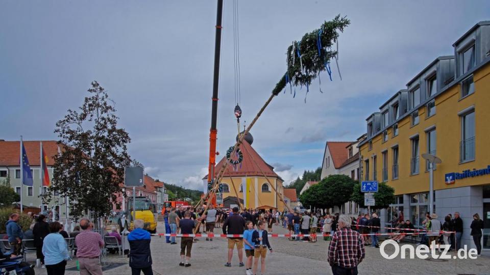 Bald steht der Baum Bild: twi